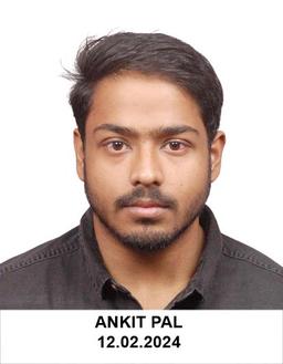 ANKIT PAL