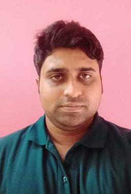 Nilanjan Ray